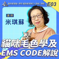 E03貓咪毛色學及EMS CODE解說