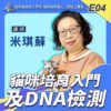 E04貓咪培育入門及DNA檢測