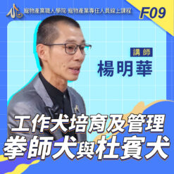 F09工作犬培育及管理_拳師犬與杜賓犬