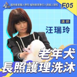 F05老年犬長照護理洗沐