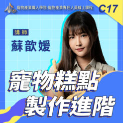 C16寵物糕點製作解析