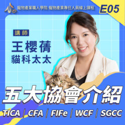E05五大協會介紹(TICA, CFA, FIFe, WCF, SGCC)