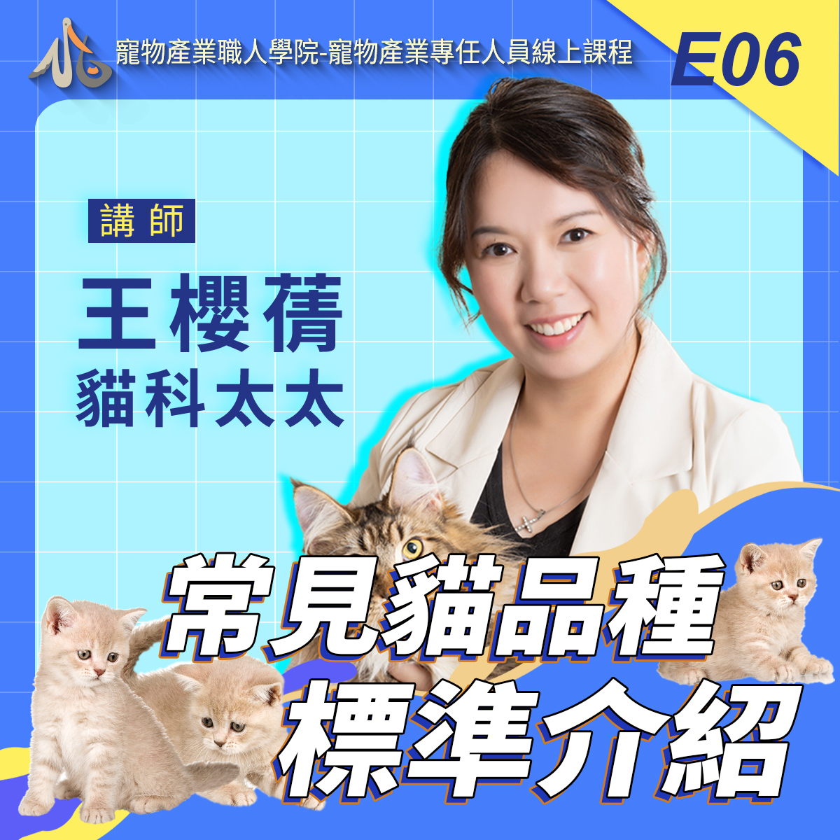 E06常見貓品種標準介紹