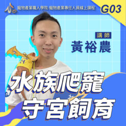 G03水族爬蟲：守宮飼育