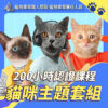 200小時課程貓咪套組 200小時課程貓咪套組