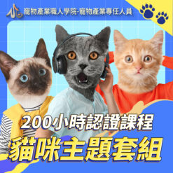 200小時課程貓咪套組