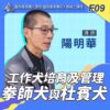 F09工作犬培育及管理_拳師犬與杜賓犬