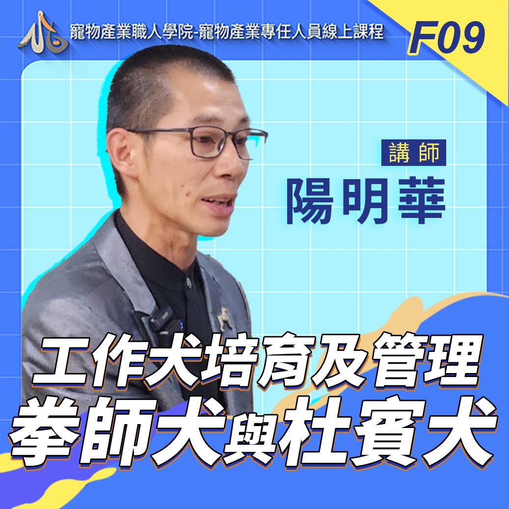 F09工作犬培育及管理_拳師犬與杜賓犬