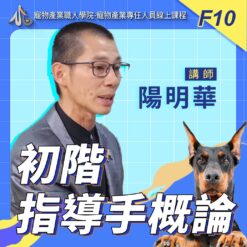 F10初階指導手概論