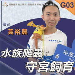 G03水族爬蟲：守宮飼育