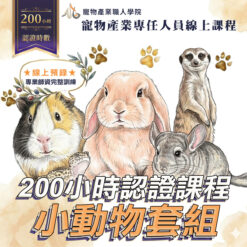 200小時課程-小動物套組
