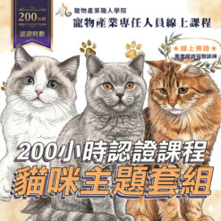 200小時課程-貓貓套組