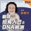 E04貓咪培育入門及DNA檢測
