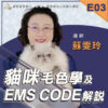 E03貓咪毛色學及EMS CODE解說