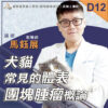 D12犬貓常見的體表團塊腫瘤概論